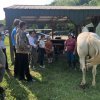 2022 Horseback Riding
